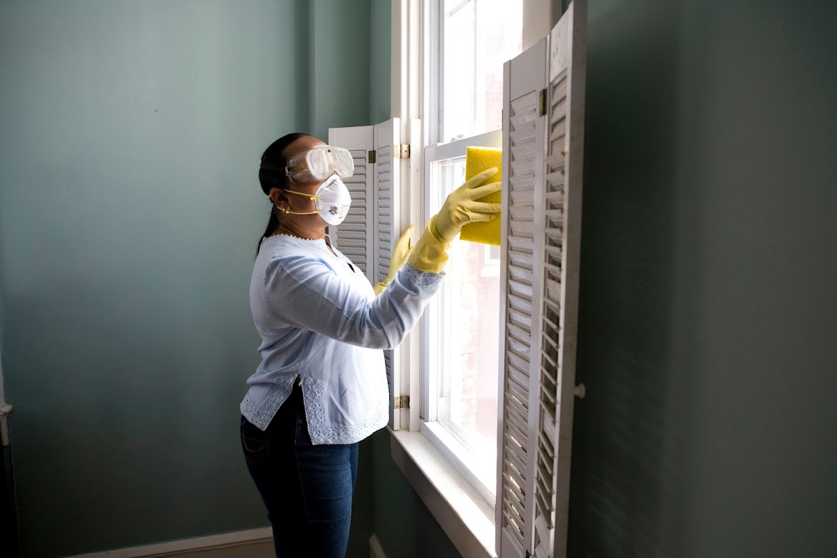 Professional pest inspection in Houston